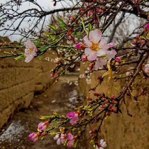 محمد حسین زاده دوباره شب شد و حالم خرابه